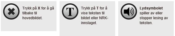 Symbolforklaringer for minikurs om 17. mai